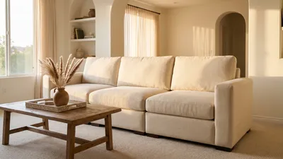 Upholstery Cleaning
